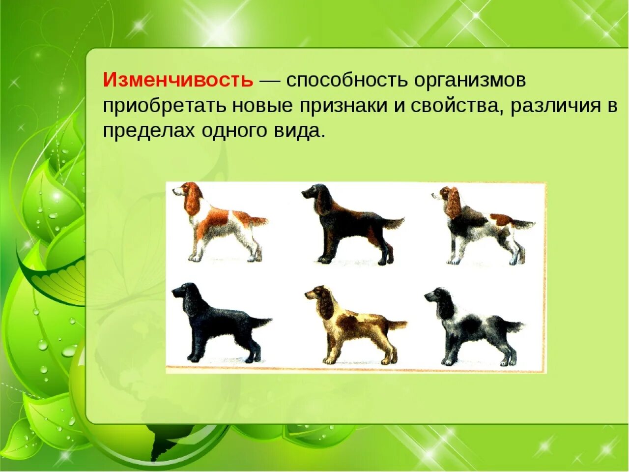 Наследственность Дарвин. Изменчивость Дарвин. Изменчивость организмов Дарвин. Изменчивость животных. Способность организмов приобретать новые признаки это