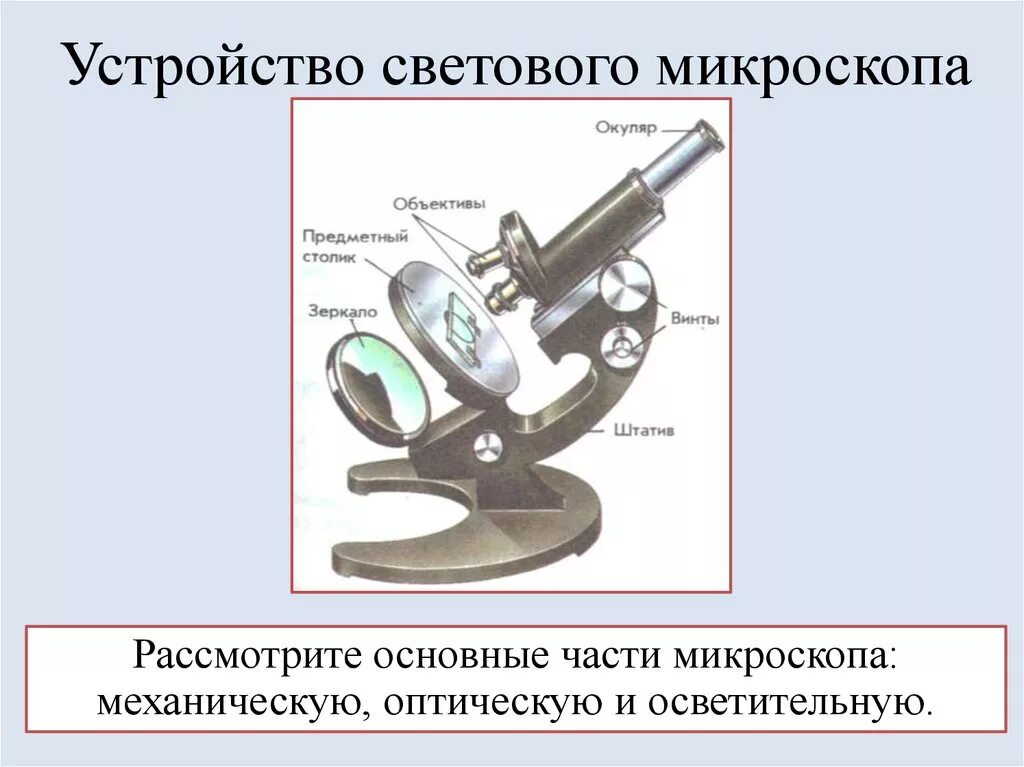 Детали цифрового микроскопа 5 класс биология. Основные части микроскопа 5 класс биология. Микроскоп части микроскопа биология 5 класс. Строение микроскопа 5 класс биология. Биология таблица строение микроскопа.