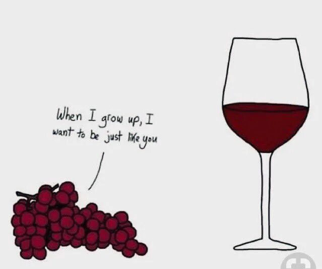 Проекты для университета про вино 2025 I will sell homemade red wine,  my grapes. 2023 Черноморское. Кни