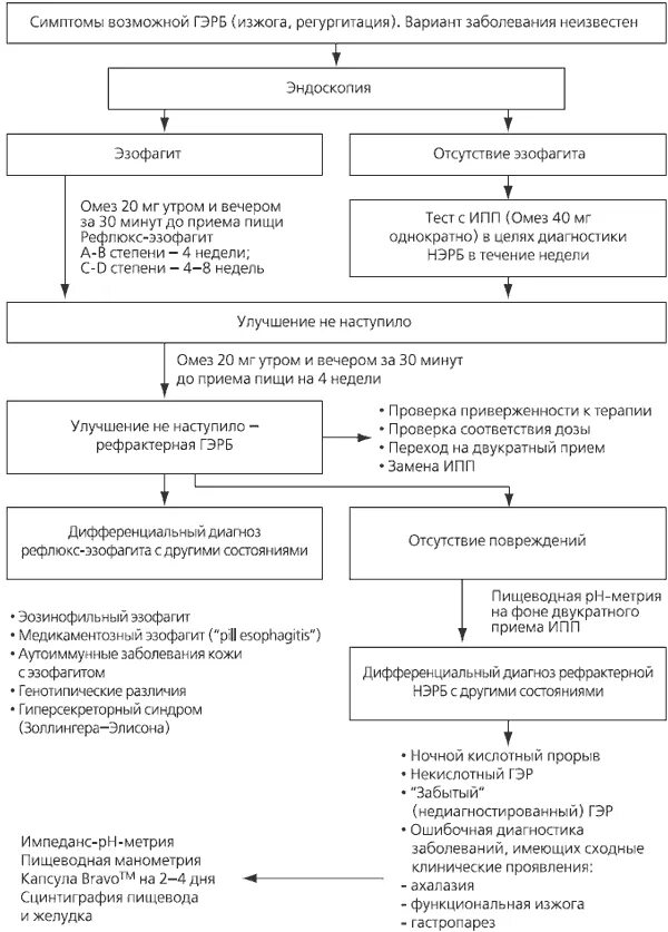Лечение эзофагита пищевода схема лечения. ГЭРБ препараты схема. Рефлюкс эзофагит дифференциальная диагностика. ГЭРБ диагностический алгоритм. Гастроэзофагеальная рефлюксная болезнь алгоритм диагностики.