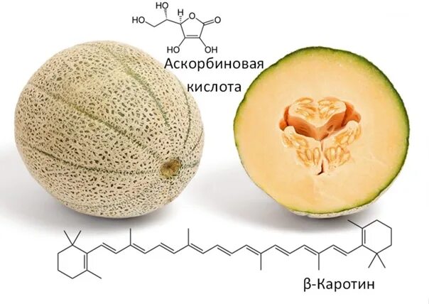 Вес 1 дыни. Вес 1 дыни