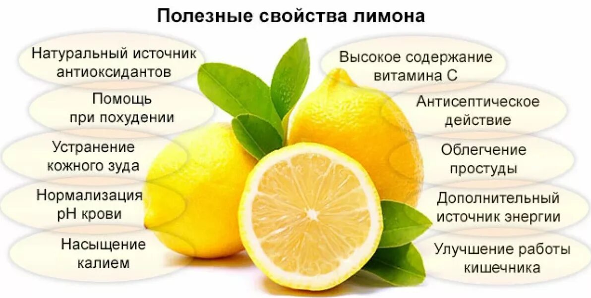 Можно ли лимон при температуре. Свойства лимона для организма человека. полезные свойства лимона для организма человека. полезные свойства ьемона. чем полезен лимон.