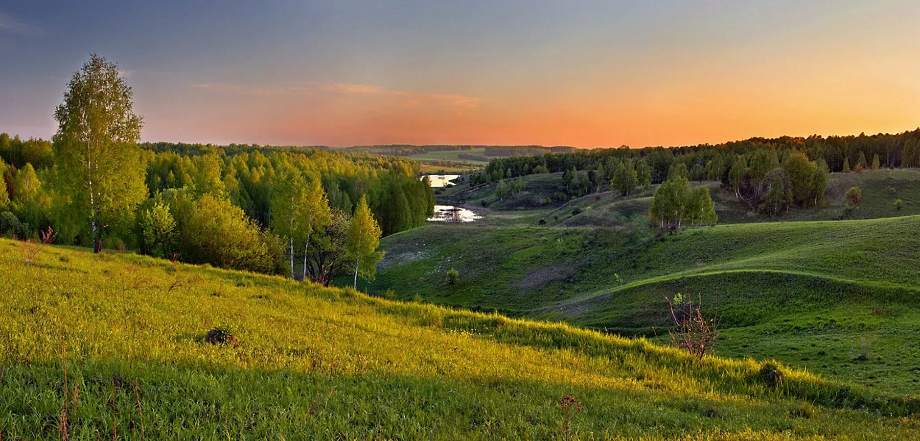 Родное коренное. Природа России холмы перелески Луга. Родные просторы Елецкого района. Родные просторы Нижний Новгород. Просторы родного края Липецк.