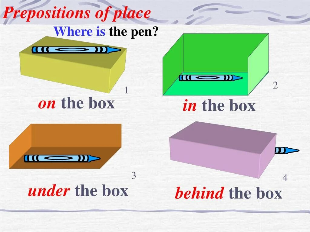 Where is the Pen. In on under where is. In on under the Box. In the Box on the Box under the Box. Where are your pens