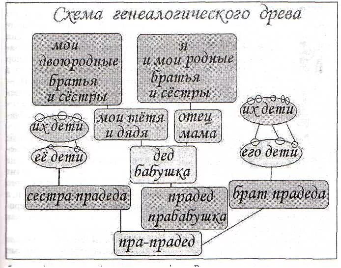 Троюродная племянница