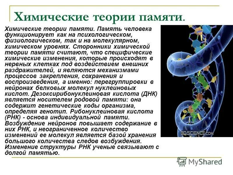 Физико-химическая теория памяти. Теории памяти кратко. Физическая теория памяти. Химические теории памяти кратко.