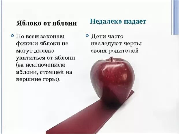 Яблоня от яблони далеко не падает. Яблоко от яблони упало недалеко. яблоко от яблоньки недалеко падает. пословица яблоко от яблони недалеко падает. пословица яблоко от яблони.