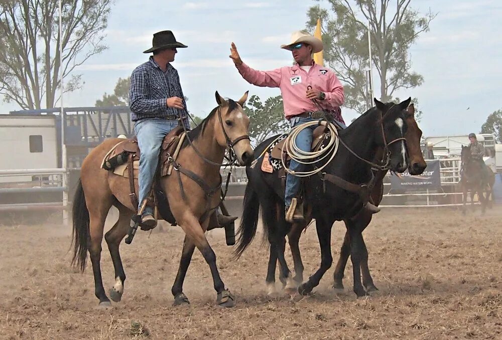 The rodeo is a really exciting event. Достопримечательности Техаса родео. Ранчо счастливые дни в Нью-Мексико. Родео река. Йеллоустон сцены с родео.