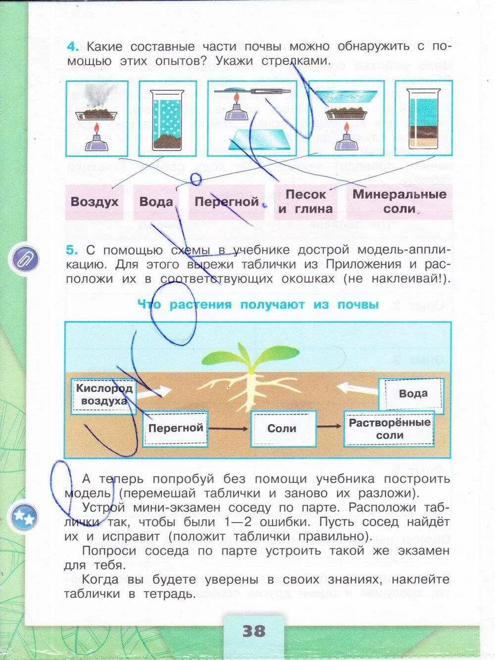 Рабочая тетрадь по Плешаков окружающему миру 3 класс 1 часть стр 38. Окружающий мир 3 класс рабочая тетрадь 1 часть стр 38. Окружающий мир 3 класс рабочая тетрадь 1 часть Плешаков стр 38.