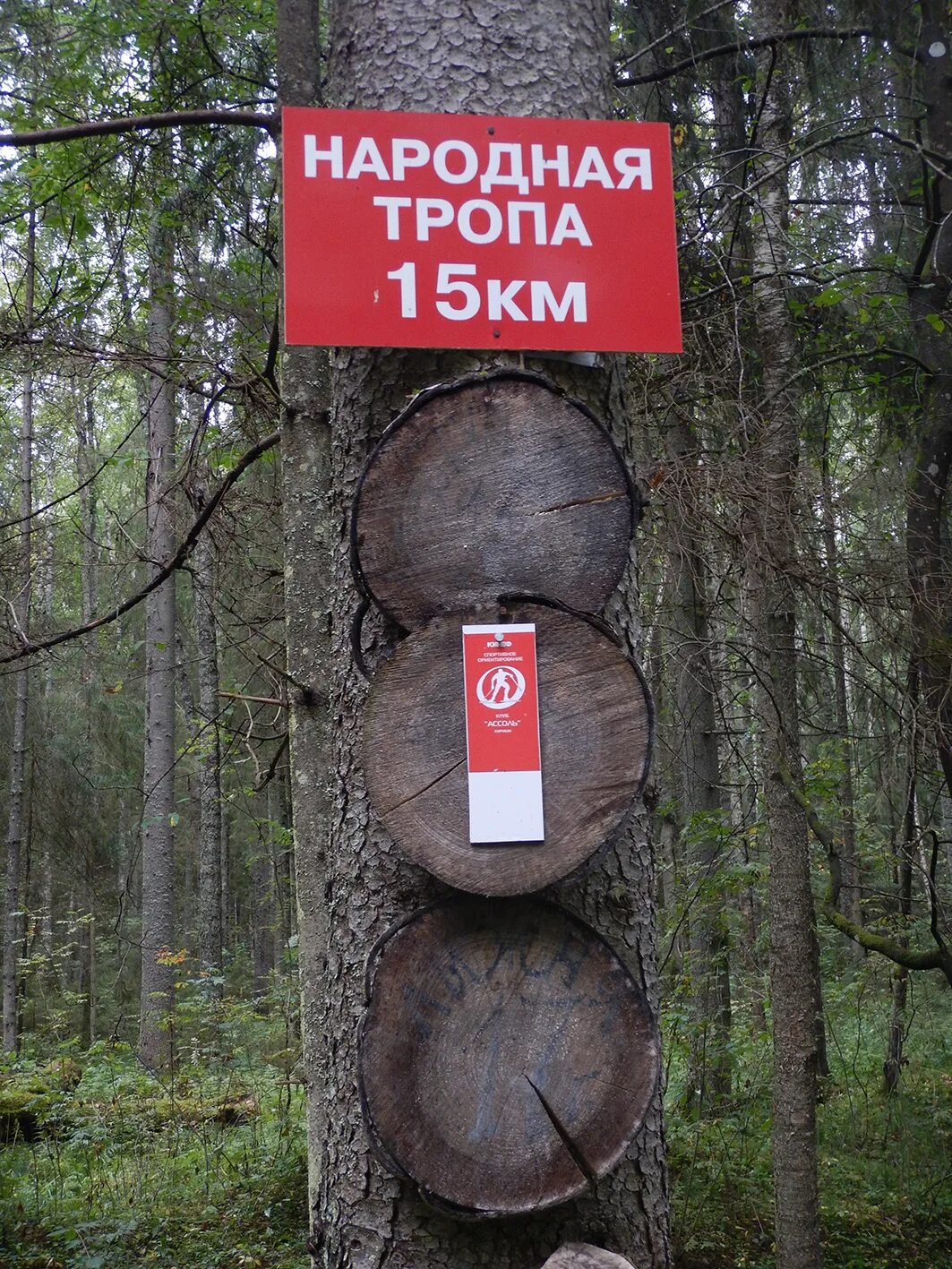 Тропа народа. Народная тропа. Народные тропы Подмосковья. Фольклорные тропы. Народные тропы программа Московской области.