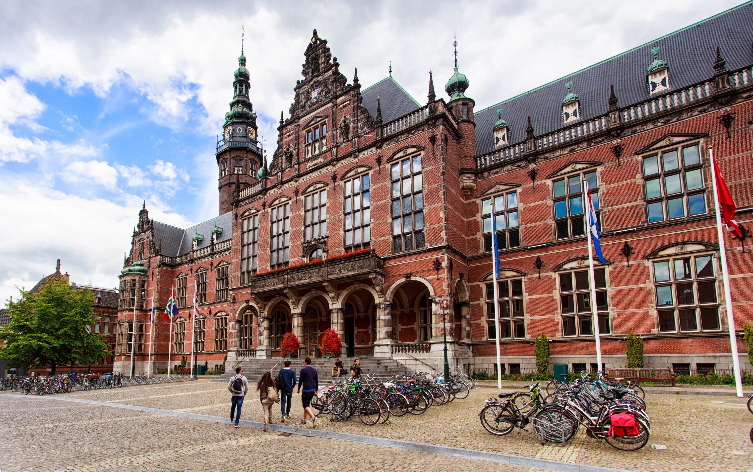 Университеты голландии
