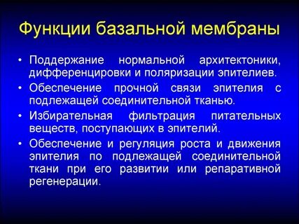 Основная функция оболочек