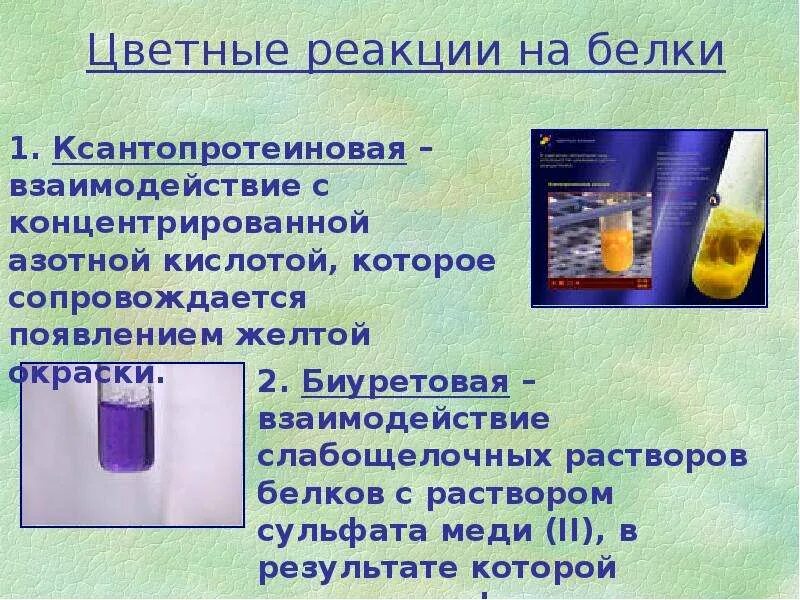 Дайте определение белка. Химические свойства белка химия 10 класс. презентация на тему белки. белки презентация по химии. презентация белки 10 класс.
