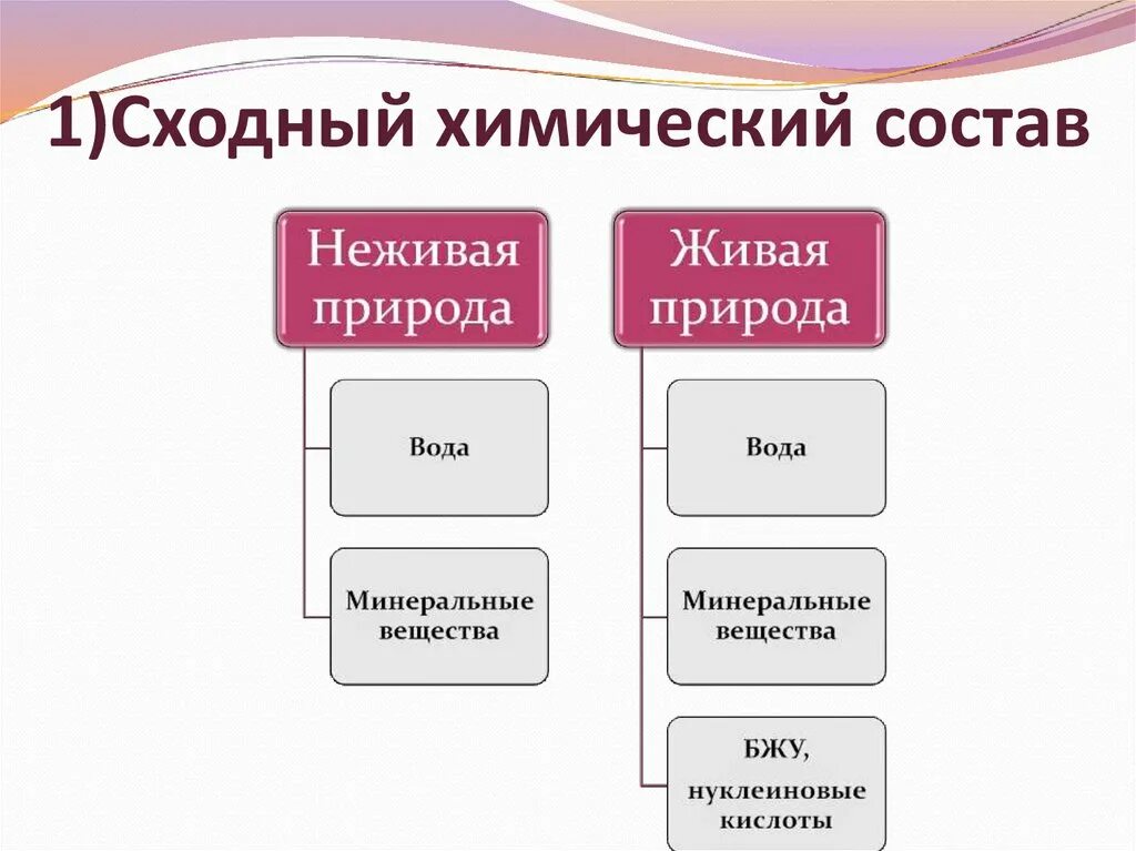 Химический состав живой природы. Химический состав живых организмов. Химический состав живой и неживой природы. Сходный химический состав.