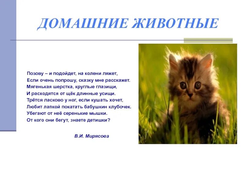 5 7 предложений о животных. Презентация писатели о животных. доклад о домашнем сельскохозяйственном животном 3 класс.