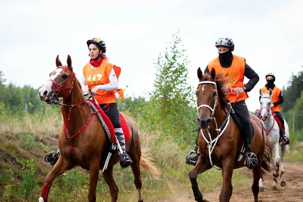 Конные прогулки кисловодск в кисловодске. Пятигорский полумарафон кавказ run. Конный спорт. Кисловодск марафон 2022. Мтб харцызск велотурклуб.