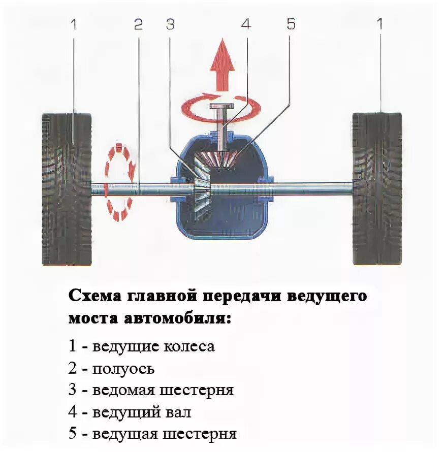 Назначение ведущего моста. Принцип работы ведущего моста автомобиля. устройство механизма ведущего моста. ведущий мост конструкция схема. общее устройство ведущего моста автомобиля.