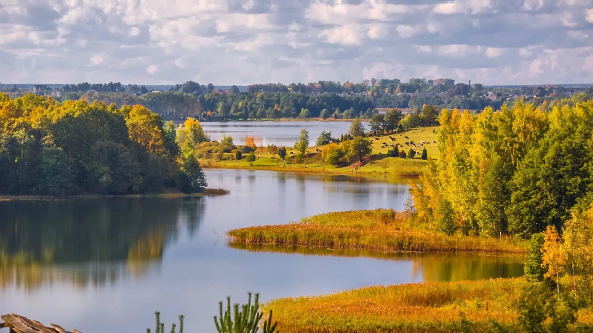 Як зберагчы куточак прыроды