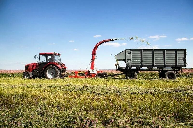 Аграрные наименования. Наименование сельскохозяйственного предприятия. Сельхозтехника для детей. Сельское хозяйство растениеводство. Аграрные наименования.