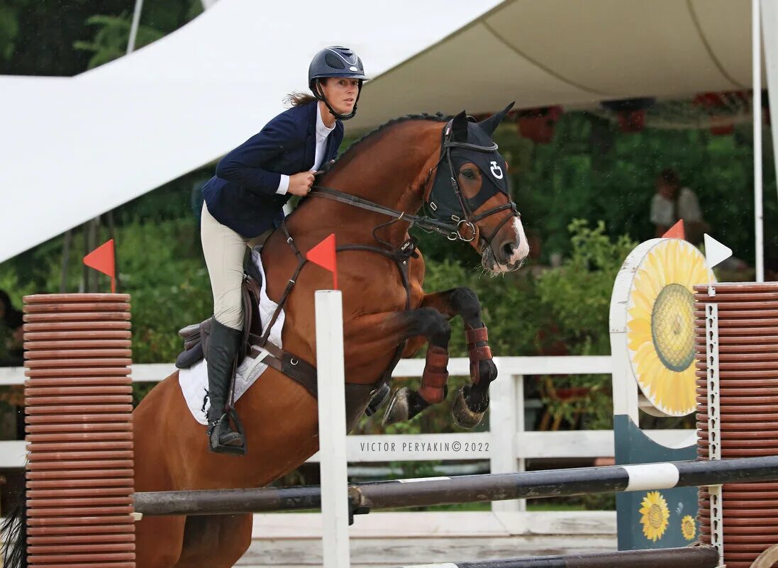 кск отрада москва. отрада конно спортивный комплекс. отрада конно спортивный комплекс. отрада конно спортивный комплекс. отрада конно спортивный комплекс.