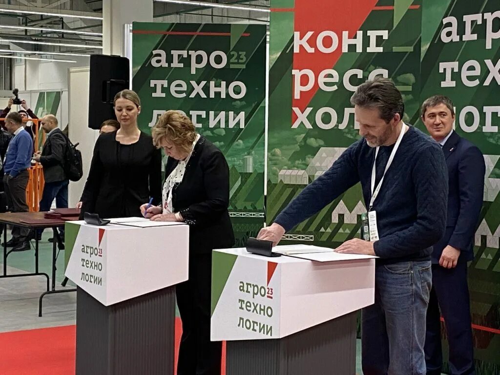 выставки в перми 2023. пермская выставка.