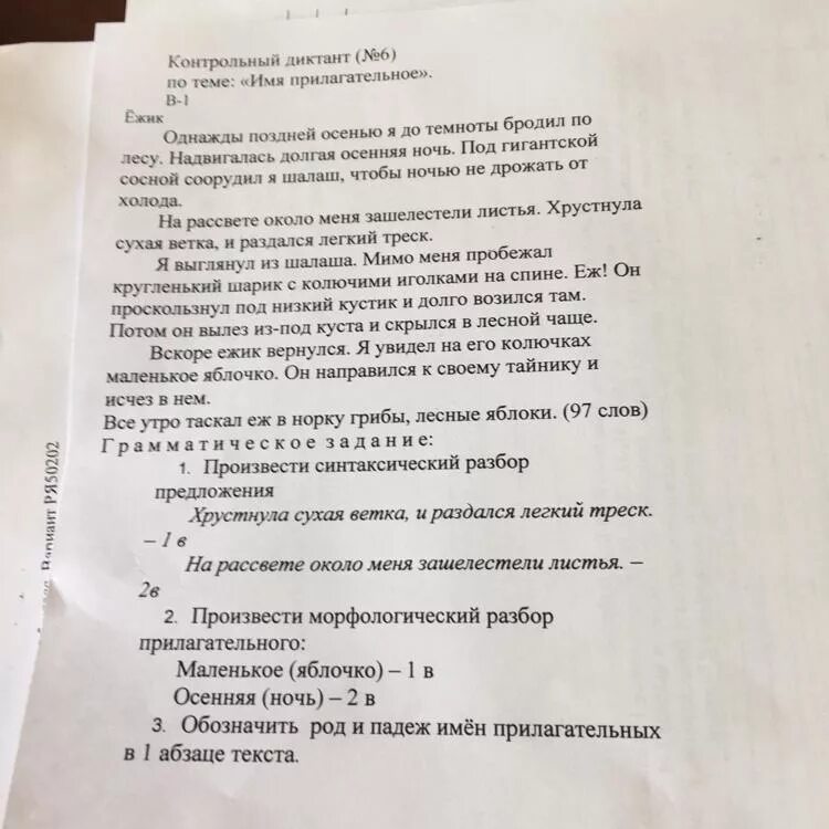 Диктант утром 6 класс ответы. Диктант Ёжик 5 класс. Диктант 5 класс осенью. Диктант Ежи 5 класс. Ночь в лесу диктант.