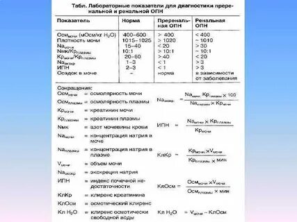 Почечный индекс