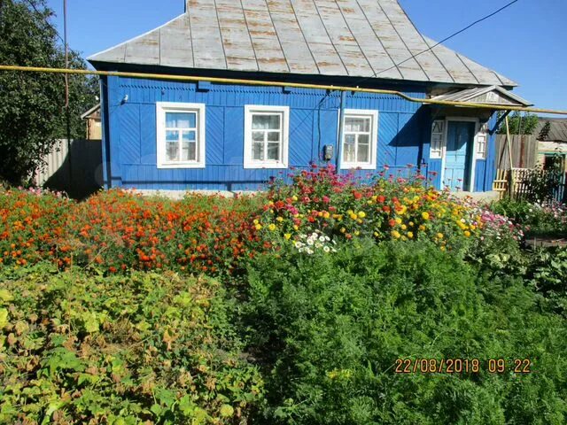 Нижнее Чупахино Хомутовский район. Село Чупахино Курская область Хомутовский район. Село нижнее Чупахино Курская область. Хомутовка Курская область дома на улице Комсомольская.