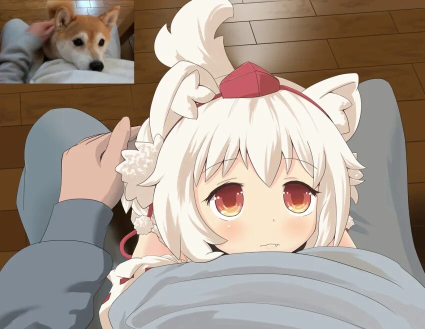 Neko petting. Момидзи Инубашири ахегао. Момидзи Инубашири Awoo. Момиджи Тохо.