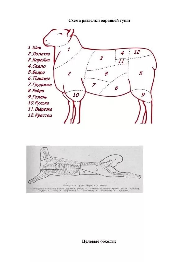 Какую часть баранины берут. Схема разруба туши баранины. Схема разделки мяса баранины. Схемаразрба туши баранины. Схема разделки туши баранины.