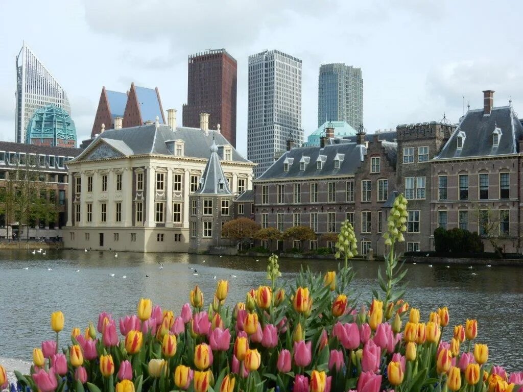Королевство Нидерланды Гаага. Den Haag / Голландия. Бинненхоф Гаага. Den Haag город. Гаага что это