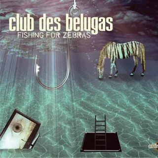 Club des belugas