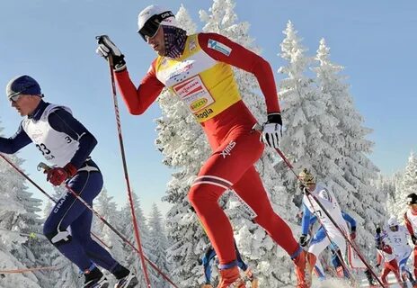 Велоспорт лыжный спорт