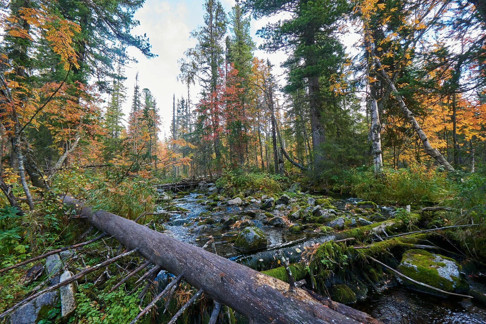 Природные особенности северного урала