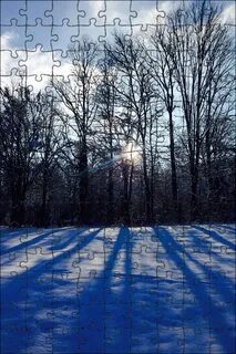 Пелена снега