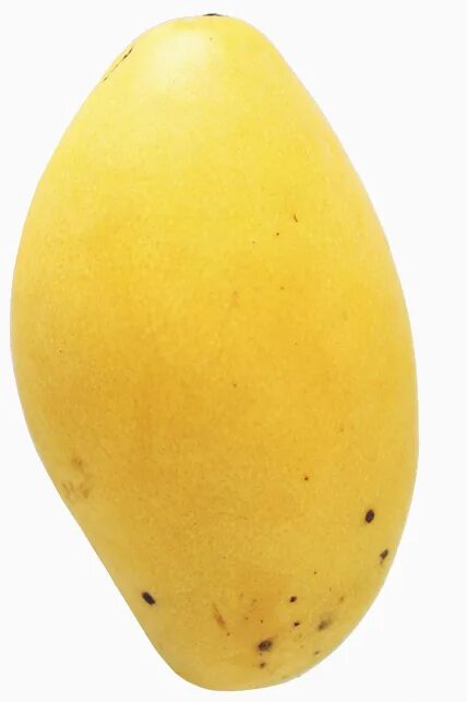 Кожица манго. Манго с желтой кожурой. Манго спелое. Цвет манго кожура. Светлый манго кожура.