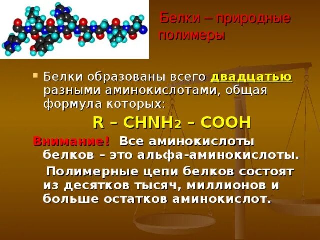 Белки природные полимеры. Белки состоят из аминокислот. Белки полимеры презентация. Что образуют белки.