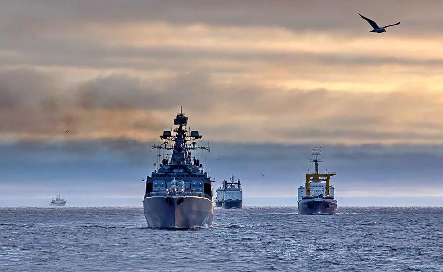 Оперативная информация морской. Морской корабль. русский корабль. северный морской флот.