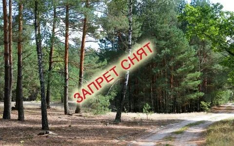 Снят ли запрет
