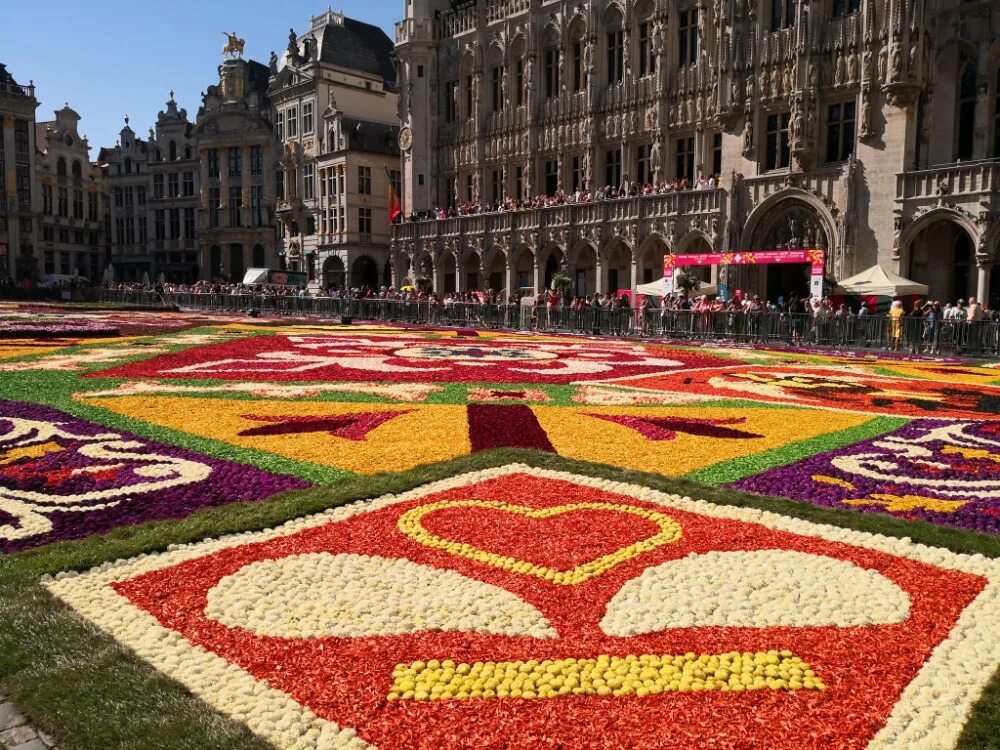 Фестиваль "цветочный ковер" (flower carpet), брюссель, бельгия. Цветочный ковер на площади гран-плас в брюсселе. Бельгия площадь гранд-пляс. Фестиваль "цветочный ковер" (flower carpet), брюссель, бельгия. Брюссель центральная площадь ковер из цветов.