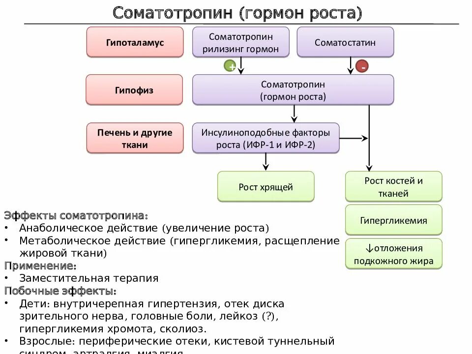 ИФР 1 гормон. Гормон роста ИФР 1. Инсулиноподобный гормон роста. Инсулин гормон роста и ИФР 1. Фактор роста гормон