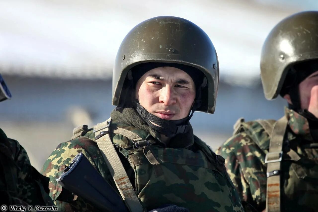 Вв мвд