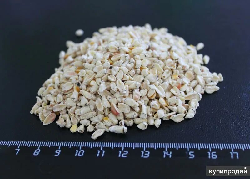 Зародыш кукурузы. Жмых кукурузный. Зародыш кукурузный. Зародыш кукурузный переработанный. Ячменно кукурузный концентрат.