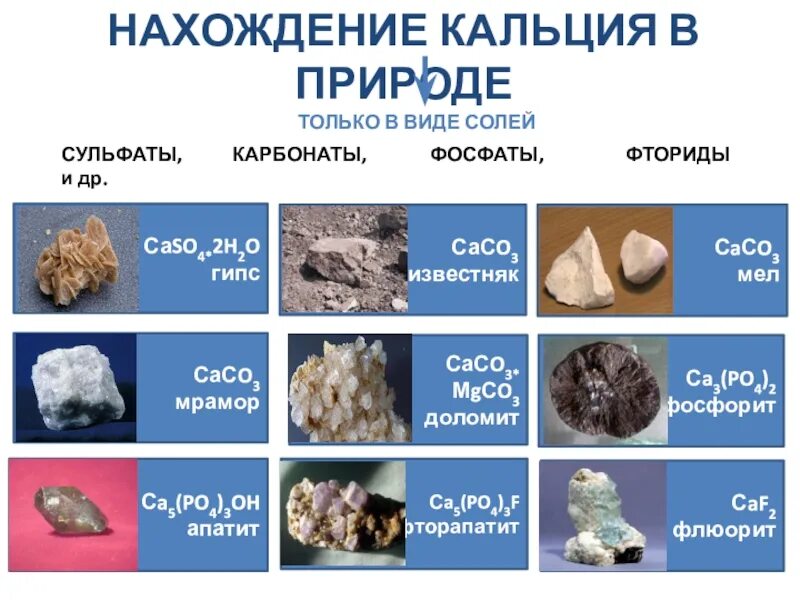 Карбонат кальция содержится в. Нахождение в природе кальция. кальций в природе. карбонат кальция нахождение в природе. нахождение карбонатов в природе.