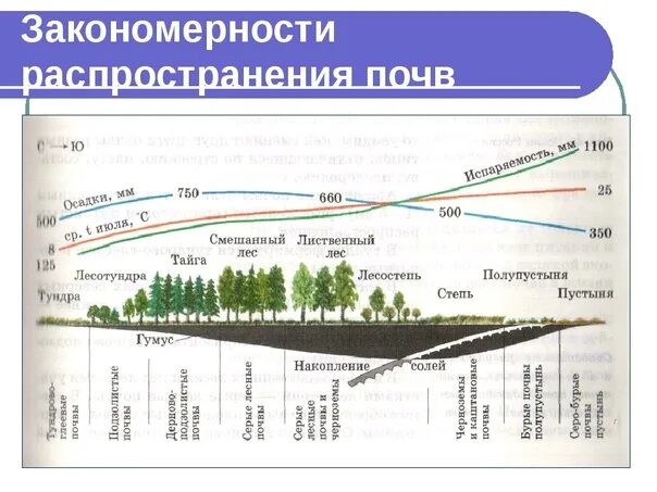 Закономерности размещения почв в России. Закономерности распространения почв России таблица 8 класс. Таблица закономерность распространения почв по территории России. Закономерности распространения почв России 8 класс. Закономерность размещения растительного покрова на земном шаре