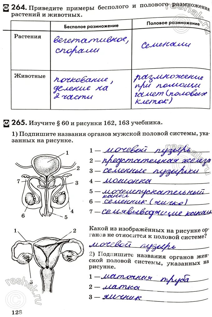 Биология 9 класс колесов маш. Половая система биология 8 класс. Биология размножение учебник Колесов. Биология 8 класс картинки из учебника. Учебник по биологии 8 класс размножение человека.