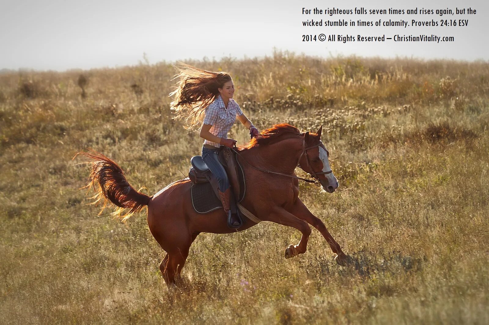 Рыжая девушка на лошади. Верхом на коне в поле. Девушка едет на коне. Езда в полях на лошади. Мы вновь ехали на лошадях