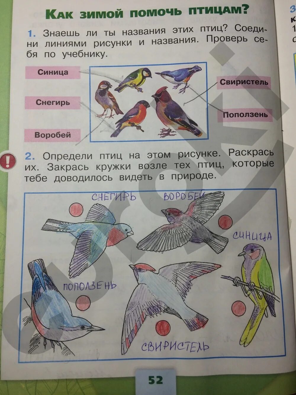 Окружающий 1 класс 1 часть рабочая тетрадь. Окружающий мир 1 класс рабочая тетрадь ответы Плешаков 1. Окружающий мир 1 класс рабочая тетрадь 1 часть Плешаков ответы стр 52-53. Гдз окружающий мир 1 класс рабочая тетрадь Плешаков. Окружающий мир 1 класс рабочая тетрадь стр 9.