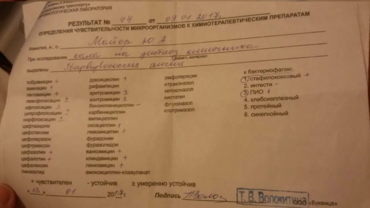 Золотистый стафилококк в кишечнике у ребенка. Золотистый стафилококк в кишечнике у ребенка