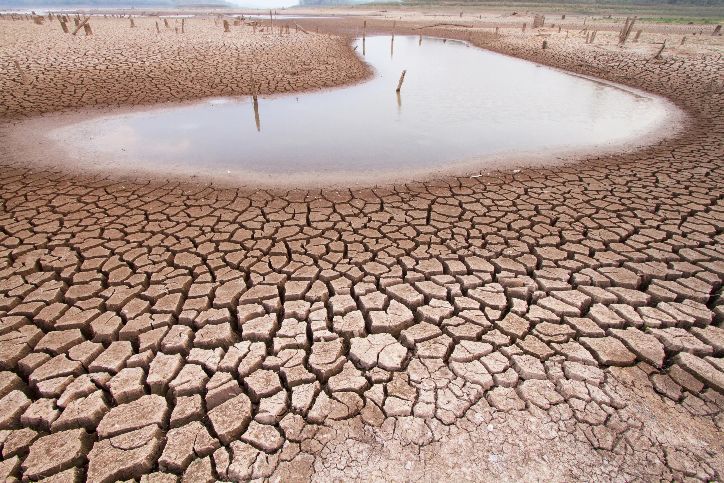 Изменение реки. Высохшее озеро. Опустынивание. Засуха. Дефицит воды.